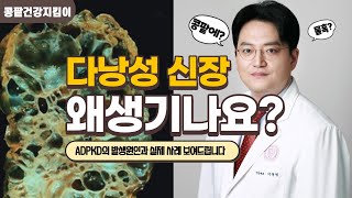 다낭성신장 왜생기나요? ADPKD의 실제사례 | 이동형의콩G팥G [범일연세내과]