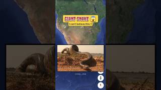 Found Giant snake on google earth 😱😱 #googlemaps #googleearth #googlestreetview #googlearth