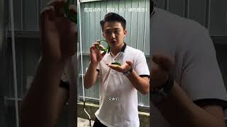 真正的满绿手镯，最少1.2亿#翡翠 #翡翠手镯