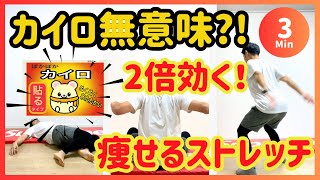 【3分】カイロ貼るだけじゃ痩せない!芯から温めて痩せるストレッチ【15秒×5種】