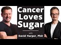 CANCER Hates this Diet [Keto Prevents & Treats Cancer] David Harper, PhD