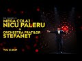 mega colaj nicu paleru si orchestra fratilor stefanet 2025