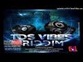 Mr Sting - TDS Vibes Riddim Mixtape