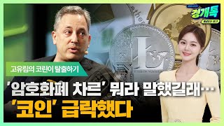 '암호화폐 차르' 뭐라 말했길래… '코인' 급락했다 | 고유림의 '코린이 탈출하기'