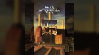 Dogs is a song from Pink Floyd’s 1977 album Animals #PinkFloyd #Dogs #Animals #FYP #AltMusic