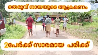 പാണ്ടിക്കാട് തബാനങ്ങാടി മോഴക്കൽ നിവാസികളെ പരിഭ്രാന്തിയിലാക്കി തെരുവുനായയുടെആക്രമണം. 2പേർക്ക്പരിക്ക്