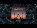 Norni & Gid Sedgwick - Ferris Wheel (Extended Mix) [EXIMINDS AIRLINES]