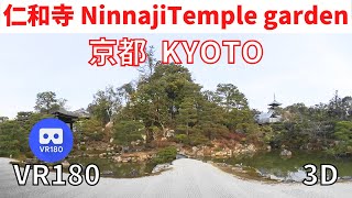 VR180  京都観光 仁和寺 02 日本庭園 Japan KYOTO Ninnaji Japanese garden