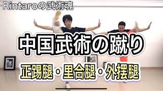 【少林拳】正踢腿・里合腿・外摆腿。中国武術の蹴り技基本を習う。功夫（カンフー）少林功夫。Shaolin Kung Fu。wushu。