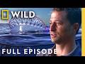 Where's Mom? (Full Episode) | Something Bit Me! | Nat Geo Animals