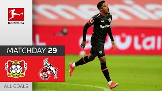 Bailey scores a brace! Bayer Leverkusen - 1. FC Köln | 3-0 | All Goals | Matchday 29 – Bundesliga