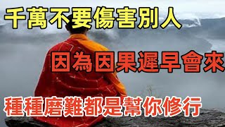 千萬不要傷害別人，因為因果遲早會來，種種磨難都是幫你修行！#民間俗語#中國文化#國學#國學智慧#佛學知識#人生感悟#人生哲理#佛教故事