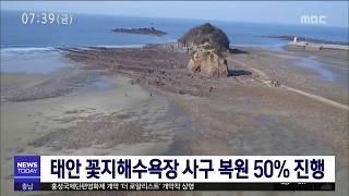 [대전MBC뉴스]태안 꽃지해수욕장 사구 복원 50% 진행