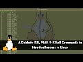 Linux Tutorials | A Guide to Kill, Pkill and Killall Commands to Terminate a Process in Linux.