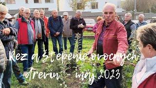 Rez ovocných drevín máj 2023