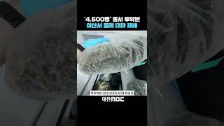 #shorts [자막뉴스(10.24)] '4,600명' 동시 투약분 야산서 몰래 대마 재배