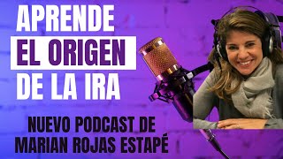 🧠APRENDE EL ORIGEN DE LA IRA Y CÓMO GESTIONARLA -Dra MARIAN ROJAS ESTAPÉ-LOS TRAUMAS DE LA INFANCIA