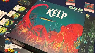 【规则介绍】年度最佳双人桌游《Kelp》