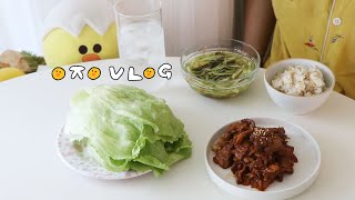 ENG.VLOG 오랜만에 집밥 제선생 그리고 반찬 만드는 날 그리고 대망의 집들이...맛있는 음식 가득한 브이로그🏡(집밥,다이어트,다이어트레시피,직장인 도시락)