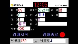 예천축산농협 12월 18일 경매가축시장