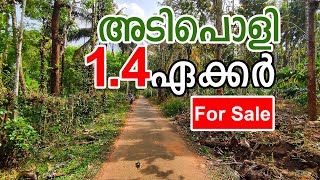 1.40 Acre Land #forsale near #pulpally #wayanad #kerala #realestate