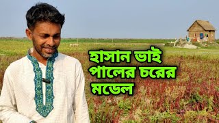 হাসান ভাই পালের চরের মডেল l Rural Life