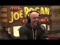 jre mma show 151 with bo nickal