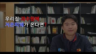 우리집 과수원에 저온피해가 온다면?