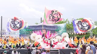 [4K] 名古屋大学快踊乱舞　犬山踊芸祭 2024 日曜日