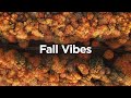 Fall Vibes 🍁 Cozy Chillout Mix for Positive Energy