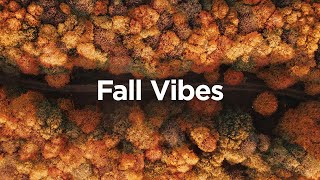 Fall Vibes 🍁 Cozy Chillout Mix for Positive Energy
