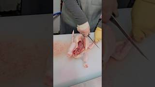 역대급 스킬!!  닭손질 끝판왕!!The ultimate chicken preparation!!