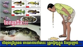 ចែកគ្នាដឹង!!! បើ​ពុល​ត្រី​ក្រពត មាន​អាការ​ទាំងនេះ ត្រូវធ្វើ​ឲ្យ​ក្អួត និង​ប្រញាប់​....