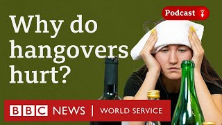 What's the best way to cure a hangover? - The Food Chain podcast, BBC World Service