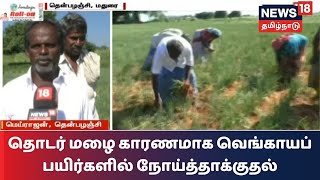 Madurai | தொடர் மழை காரணமாக வெங்காயப் பயிர்களில் நோய்த்தாக்குதல் - விவசாயிகள் வேதனை