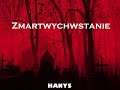 01.hanys wprowadzenie