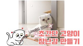 1000원도 안드는 초간단 고양이 장난감 만들기 (5분도 안걸려요!)