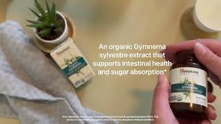 Himalaya Herbal Healthcare Organic Gymnema