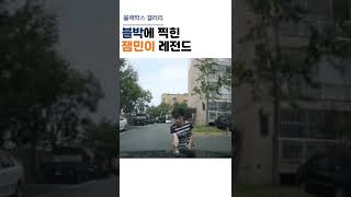 블박에 찍힌 잼민이 레전드