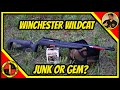 Winchester Wildcat 22 Rifle Review- Budget Friendly Blaster!