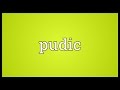 Pudic Meaning