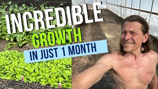 Incredible Growth In Just 1 Month !!