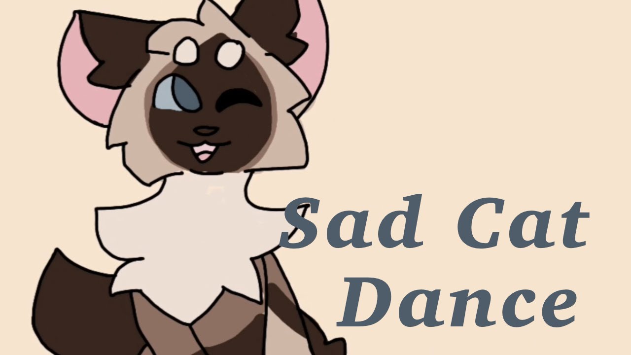 Sad Cat Dance | Animation. Meme | Ft. My Cats - YouTube