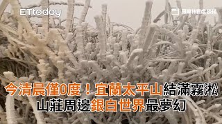 直擊／帶你走入銀白仙境！太平山、向陽派出所超夢幻路樹全染白  大屯山「竹子湖冰景」有望再現