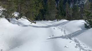 🇦🇹 Isar Ursprung - winter snowshoes walking - 6108 Scharnitz, Austria