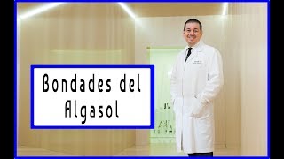 Beneficios de las algas de agua dulce