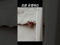 2탄 요즘 인싸아기들이 하트 날리는 방법 달콤한 크림이 인싸아기 하트시그널 shorts