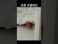 2탄 요즘 인싸아기들이 하트 날리는 방법 달콤한 크림이 인싸아기 하트시그널 shorts