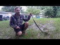 walking my asian water monitor lizard on a harness for the first time.