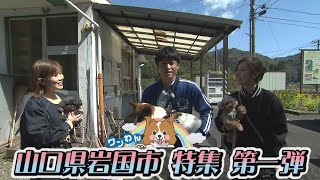 第137回 山口県岩国市特集第一弾